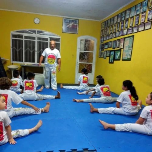 Aprender Capoeira
