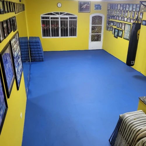 Aula de Capoeira Feminina